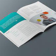 Entwicklung des Corporate Designs, Imagebroschüre