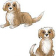 Kinderbuch Illustration Hund Max