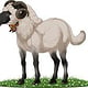 Character Visualisation (Equine with Sheep traits)