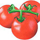 Tomaten