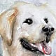 Golden Retriever – Aquarell auf Echt-Bütten Aquarellkarton