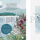 2023 Portfolio Kommunikationsdesign-und-Illustration Josephine-Pauluth sq Seite 05