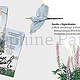 2023 Portfolio Kommunikationsdesign-und-Illustration Josephine-Pauluth sq Seite 09