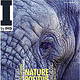 I by IMD Magazine