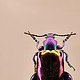 Bug-#3