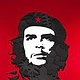 Che Guevara | Paper cut Illustration