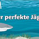 Sealife München – Infovideo über Haie