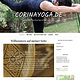 www.corinayoga.de