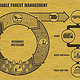 Nachhaltige Forstwirtschaft