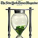 NY Times green cover