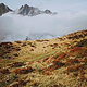 Trailrun zur Kaltenberghütte