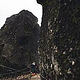 Wander Content Creation Madeira