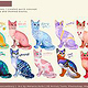 Cat concepts I created to see in which direction we would like to go for the special cats.