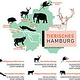 „Tierisches Hamburg“, Kartenillustration