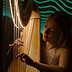 StringsInMotion 3