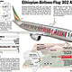 ETHIOPIAN-AIRLINES FLUG 302 ABSTURZ / ETHIOPEAN AIRLINES FLIGHT 302 ACCIDENT