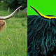 Pop Art Beispiel „The Cow“