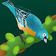 Lazuli Bunting
