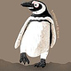 Magellanic Penguin