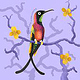 Crimson Topaz Hummingbird