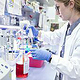 Imagefotografie Institute of Biochemistry II Goethe University