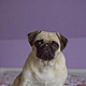 mensch und mops 7