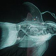 Sci-Fi-Holographischer Koi-Fisch