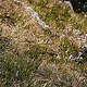 Über das Heldenkreuz zum Osterfeuerkopf Wanderung 5