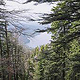 Jochberg – Walchensee – Bayrische Voralpen – Frühling – Fotografie Wanderung 2