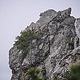 Jochberg – Walchensee – Bayrische Voralpen – Frühling – Fotografie Wanderung 10