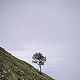 Jochberg – Walchensee – Bayrische Voralpen – Frühling – Fotografie Wanderung 14