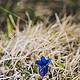 Jochberg – Walchensee – Bayrische Voralpen – Frühling – Fotografie Wanderung 15