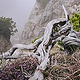 Jochberg – Walchensee – Bayrische Voralpen – Frühling – Fotografie Wanderung 20