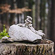 Jochberg – Walchensee – Bayrische Voralpen – Frühling – Fotografie Wanderung 26