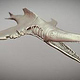 3D Assets