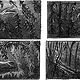 Storyboard