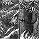 Storyboard