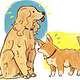 Dogs
