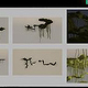 prop-2-kelp-2-model