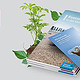 UBA-Cover