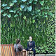 Interviews