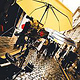 Auch im Regen funktioniert die Steadicam bestens…