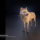 Wolf Animation