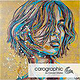 carographic by Carolyn Mielke