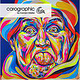 carographic by Carolyn Mielke