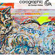 carographic by Carolyn Mielke