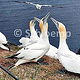 Hobbyfotografie – Natur