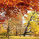 Maschpark in Hannover