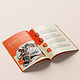 Print Design Beispiel