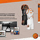 Kodiaks – Basketball Akademie Hagen